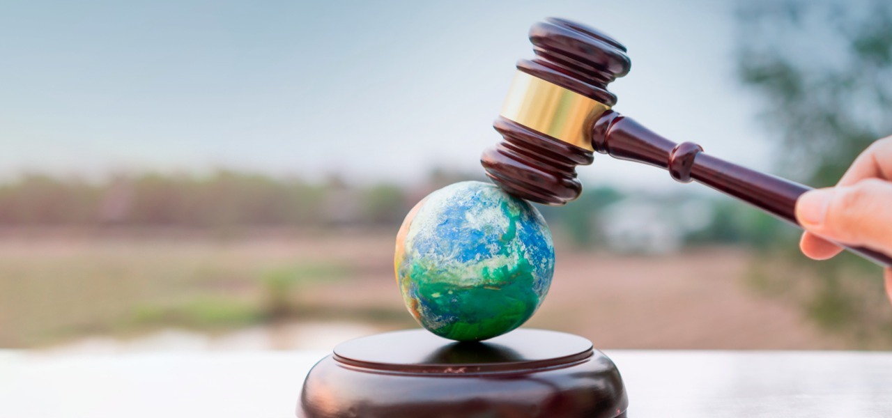 Direito ambiental e a sustentabilidade