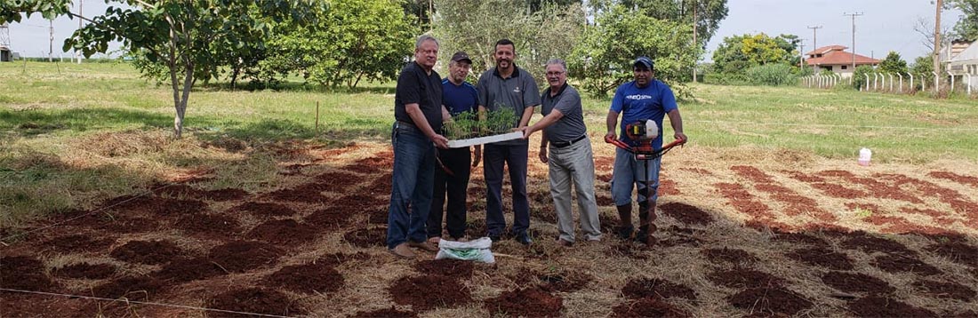 Fenasoja plantou 700 mudas de Moringa Oleífera