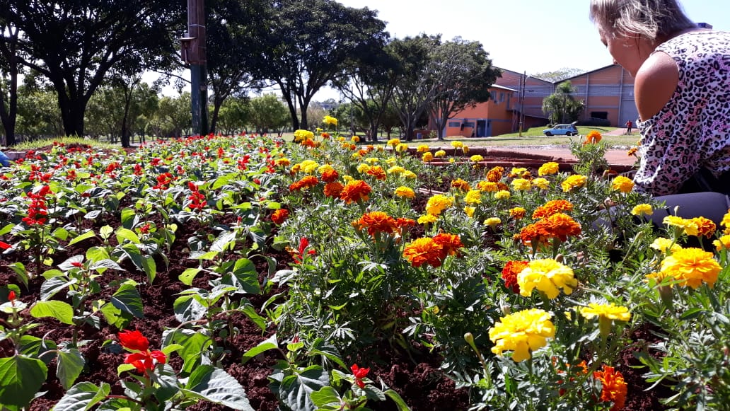 ExpoAgro está em  contagem regressiva