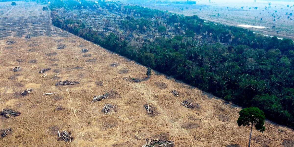 Desmatamento da Amazônia sobe 29,5% no ano e chega perto de 10 mil km², diz Inpe