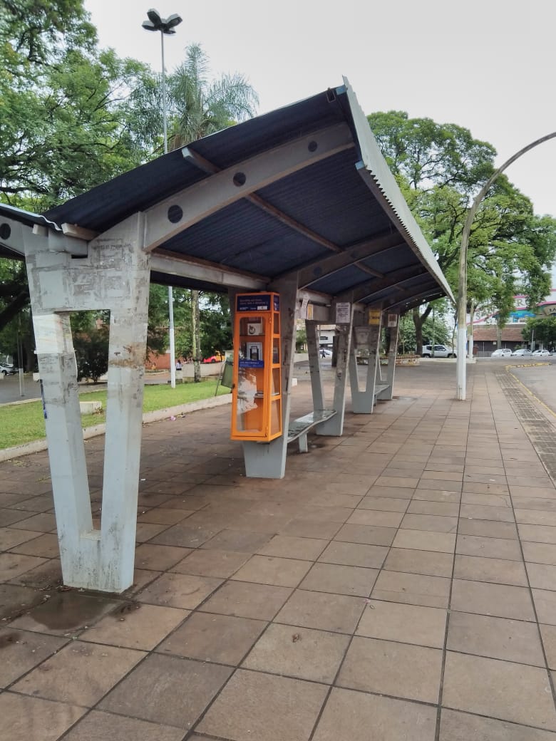 Reconhecimento à ACISAP pelas bibliotecas de rua