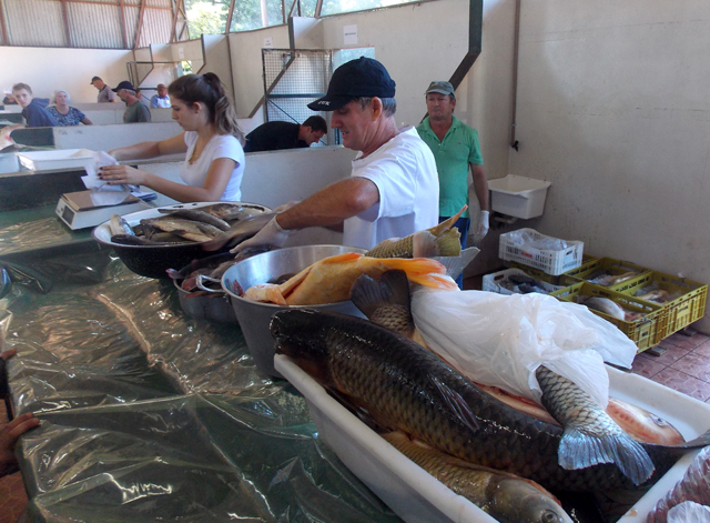 29ª Feira do Peixe em Santa Rosa