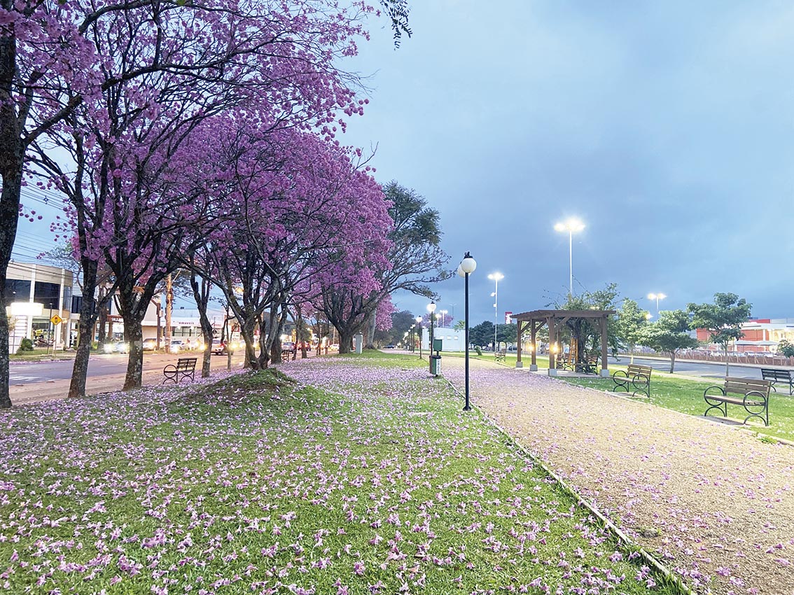 Comemorações dos 91 anos de Santa Rosa iniciam na segunda-feira