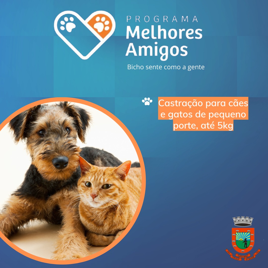 Programa “Melhores Amigos – Bicho sente como gente” é implementado em Santa Rosa