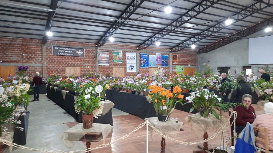 Exposição de Orquídeas ocorre neste final de semana no CTG Sepé Tiarajú