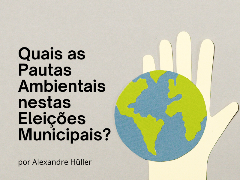 Quais as Pautas Ambientais nestas Eleições Municipais?