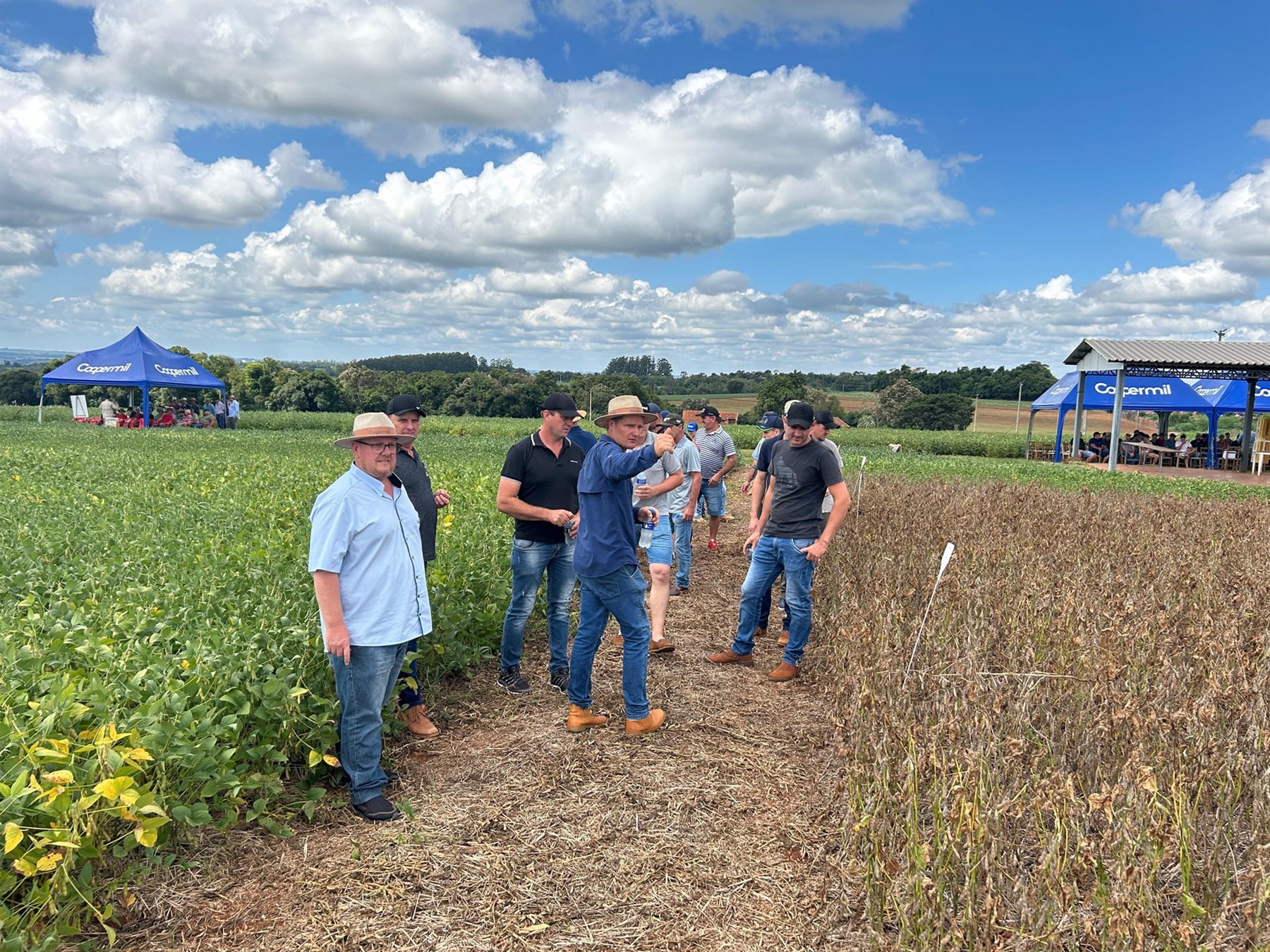 Coopermil realiza evento especial aos integrantes do Programa Produz Mais Coopermil realiza evento especial aos integrantes do Programa Produz Mais