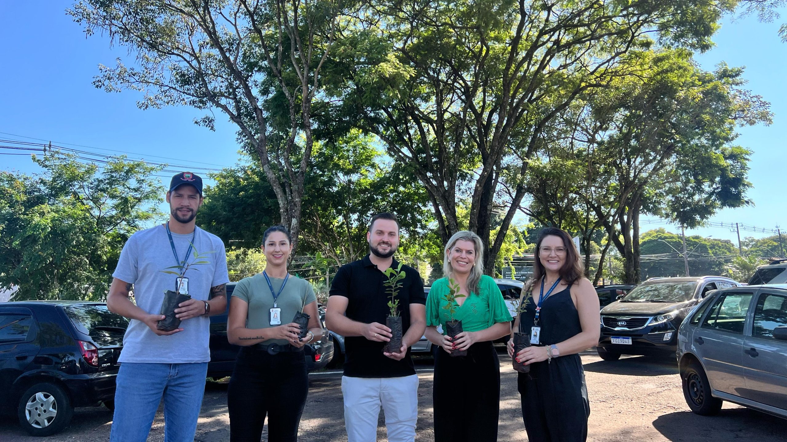 Arboriza Santa Rosa: programa de arborização inicia no município