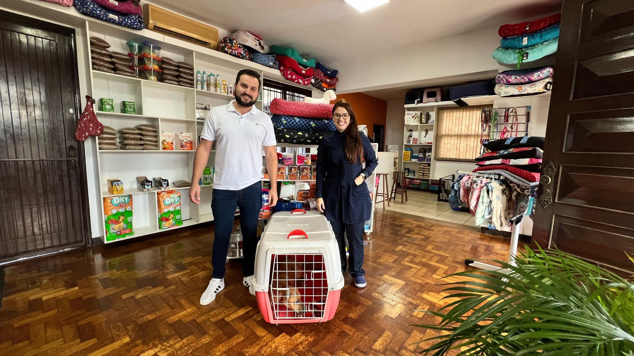 Prefeitura lança novo programa de Castração de Cães e Gatos