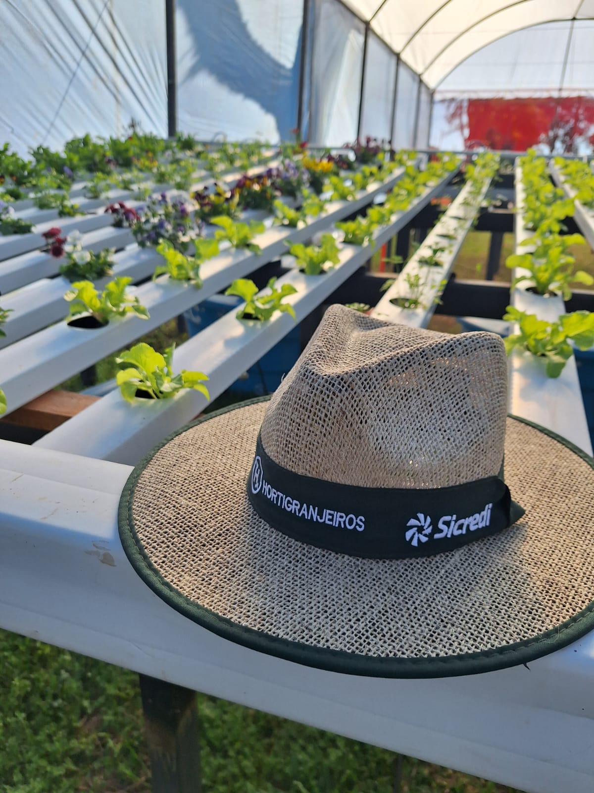 Hortishow será vitrine de inovação e tecnologias para pequenos e grandes produtores no Hortigranjeiros 2025 Hortishow será vitrine de inovação e tecnologias para pequenos e grandes produtores no Hortigranjeiros 2025
