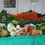 Pavilhão da Agroindústria valoriza produtores e promove sabores do campo no Hortigranjeiros 2025