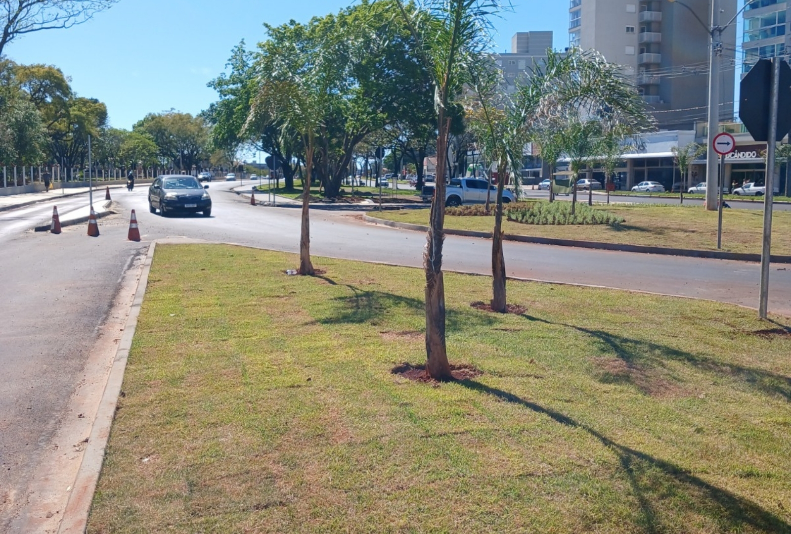 Primeira etapa do Plano de Mobilidade Urbana está 65% concluída Primeira etapa do Plano de Mobilidade Urbana está 65% concluída