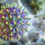 Nipah: saiba mais sobre o vírus que preocupa a Ásia