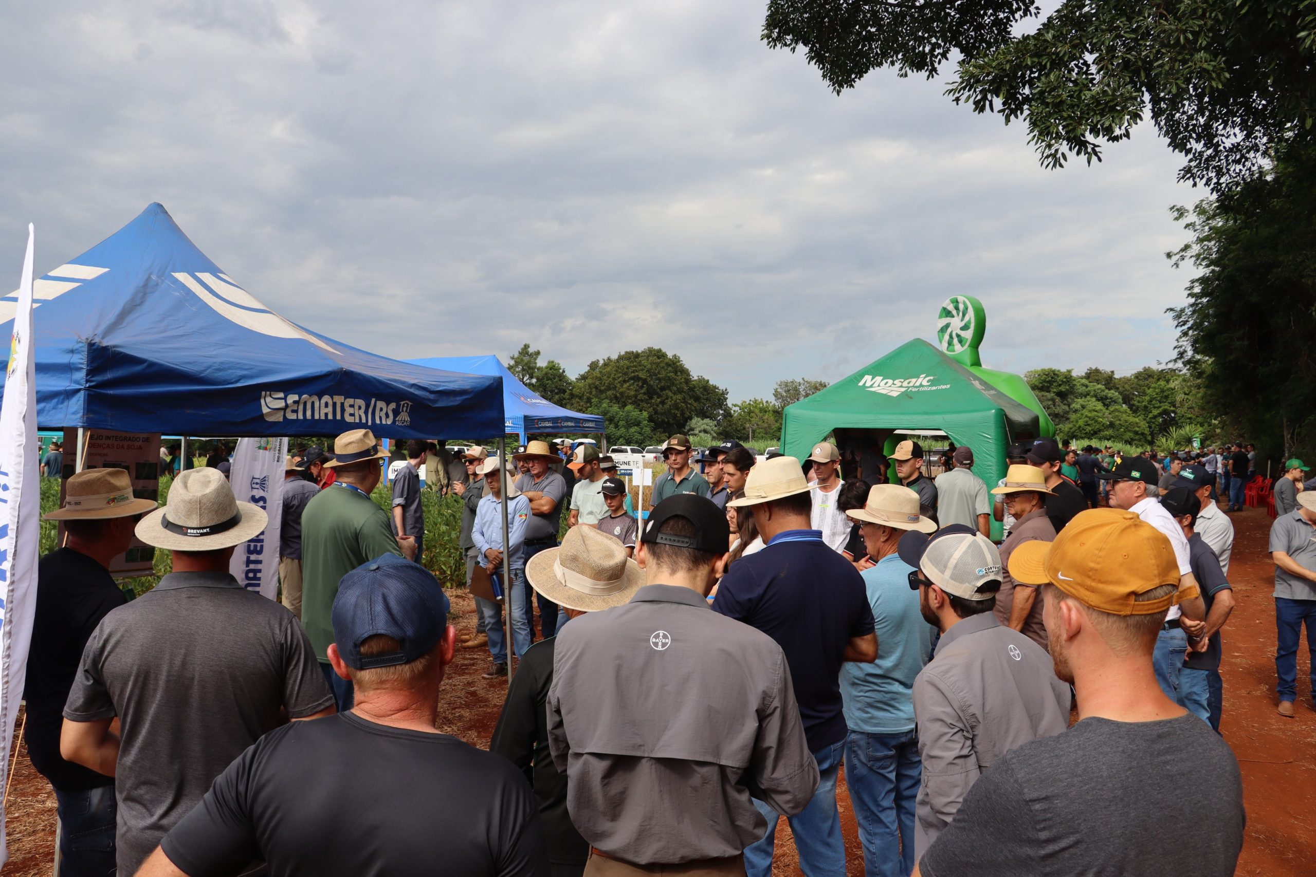 Produtores da região de Santa Rosa buscam orientações em dia de campo sobre soja