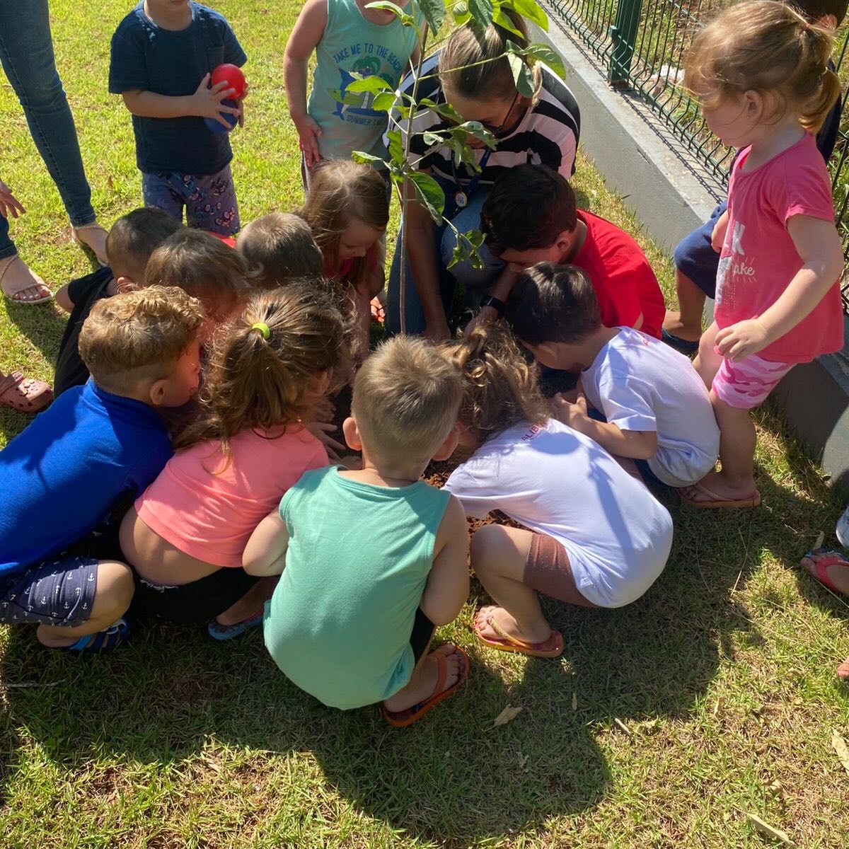 Plantio de árvores na EMEI Andressa Ferreira Plantio de árvores na EMEI Andressa Ferreira