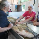 Feira do Peixe movimenta Mercado Público de Santa Rosa