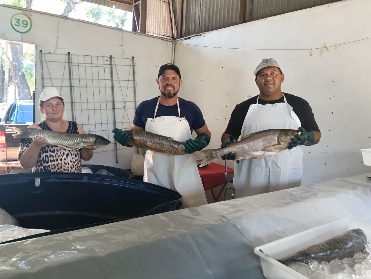 33ª Feira do Peixe de Santa Rosa comercializa 13 toneladas de pescados
