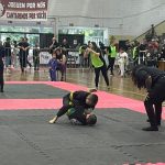 Santa Rosa sedia evento de Jiu-Jitsu com 250 atletas e recorde de público