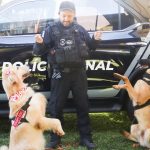 Cães da Polícia Penal são atração na Fenasoja dos 60 anos