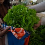 Sustentabilidade e estilo: empresa organizadora do Festival Gastronômico promove reutilização de tecido na produção de ecobags exclusivas
