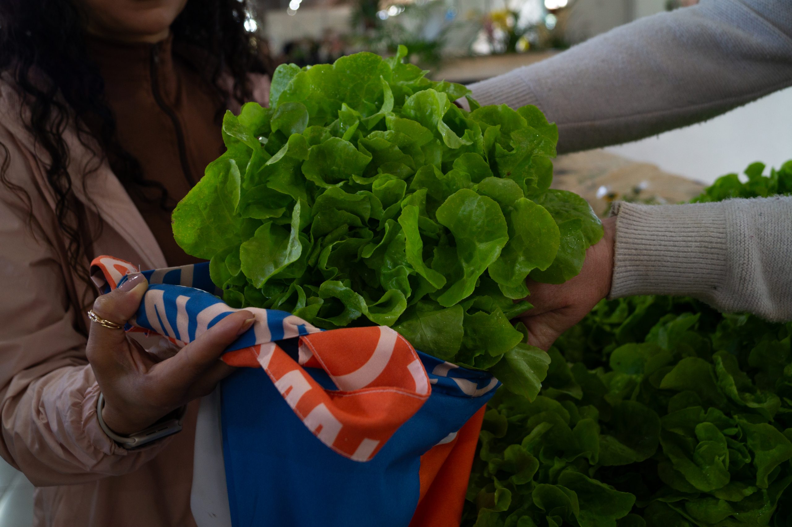 Sustentabilidade e estilo: empresa organizadora do Festival Gastronômico promove reutilização de tecido na produção de ecobags exclusivas