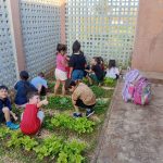 Alunos da EMEF Giordani desenvolvem projeto de cultivo da horta escolar