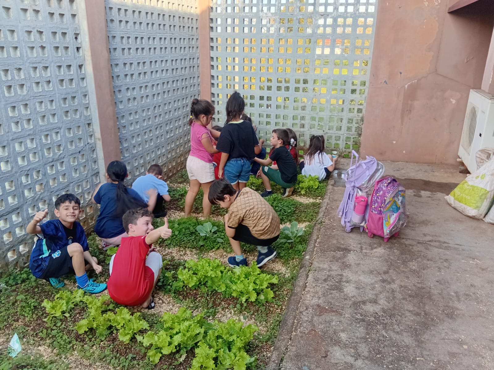 Alunos da EMEF Giordani desenvolvem projeto de cultivo da horta escolar Alunos da EMEF Giordani desenvolvem projeto de cultivo da horta escolar